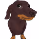 alain_dachshund