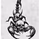 Darkloc