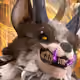 arenafox