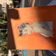 izpnk