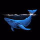 BlueWhale93