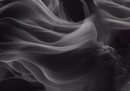 OpenSea banner for @Mayer