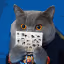 opnpc