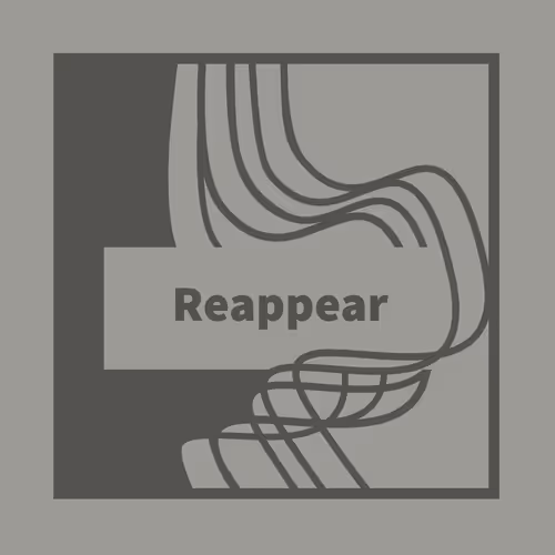 OpenSea profile picture for @Reappear