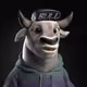 mrcryptosteve