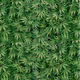 StonerLife420