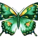 lillyoeust