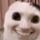 tyy30