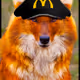 Spunjo-McDohl