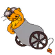 vkvhr