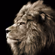 lionmountain
