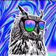 Hootmoney