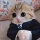 weak_kitten