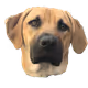 0xa015b309727e8b8de2041a12bb8dc134e0ede9bf