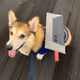 peanutStrife