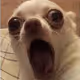 3404