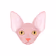pixiepeach