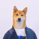 LSAQ