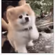 derytuiy