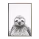 sloth_boi