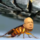 fhetrhe