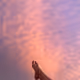 vun