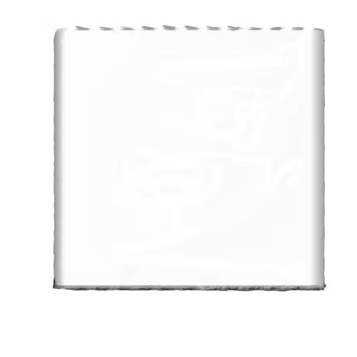 OpenSea profile picture for @Pina