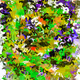 0xa0b003bee2648bd6ae5782cdca36dc51fbd0b309