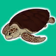 TurtleEcoWave