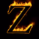 Z-Burner-Account-2