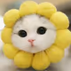 marylam