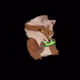 cyberenot