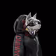 gr00v3n2
