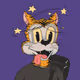 TigerPi
