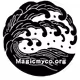 MagicMyco