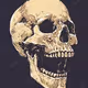 Skullopp