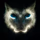 wolfcat1