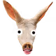 0xa1a5c97ff3fe8365b79ac35a64d5bcaf7bf8ff4c