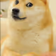 0xGo0dfel1a