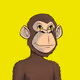 dayapetraderdev