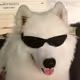 01001001010011100100100101010100