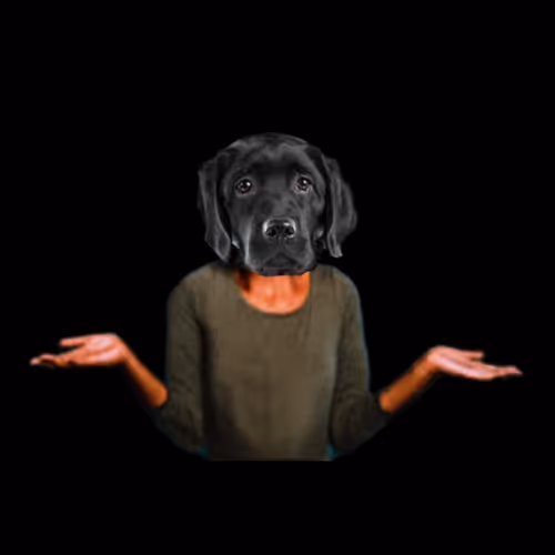 OpenSea profile picture for @shrugged