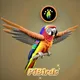 PiBirds
