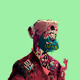 FXGodfather