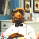 GordonShumway