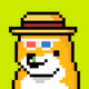 DogeBrokers_Dev