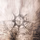 sacredlightcaptor