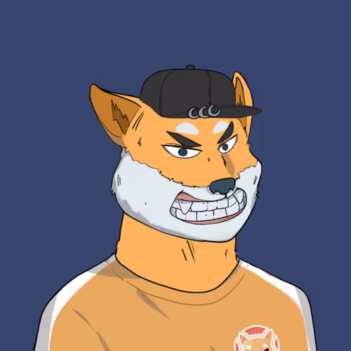 OpenSea profile picture for @xi