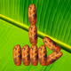 bananapakyu