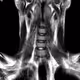 spinalcord.eth